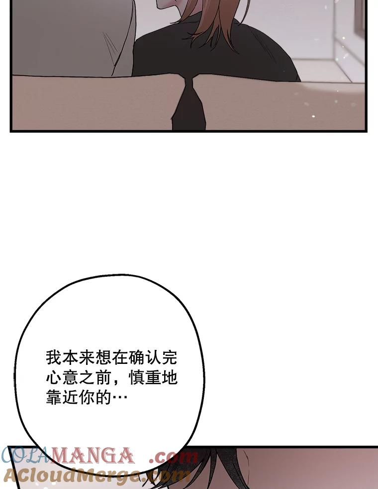 《第二个丈夫》32.确定心意 第97页