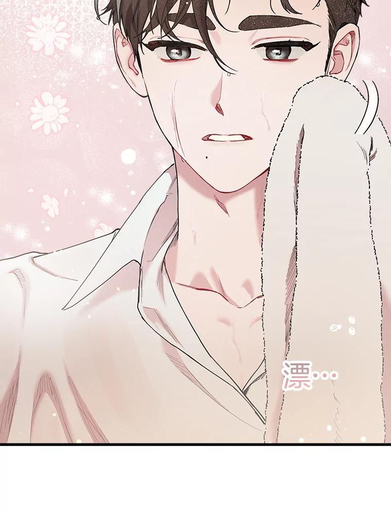 《第二个丈夫》32.确定心意 第12页