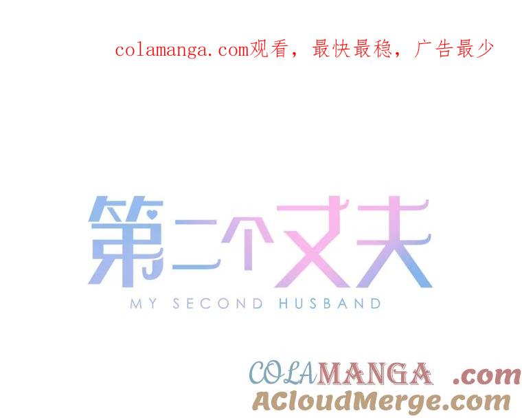 《第二个丈夫》34.盛宇的计划 第1页