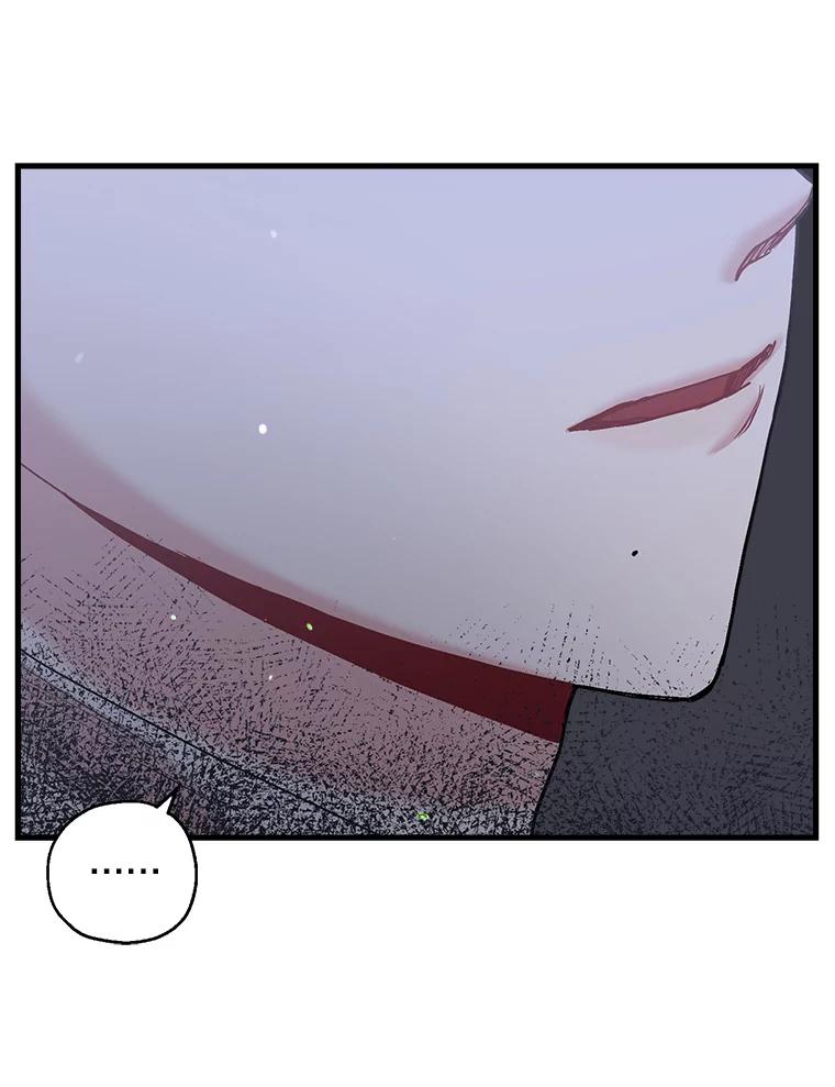 《第二个丈夫》36.送世娜回家 第36页