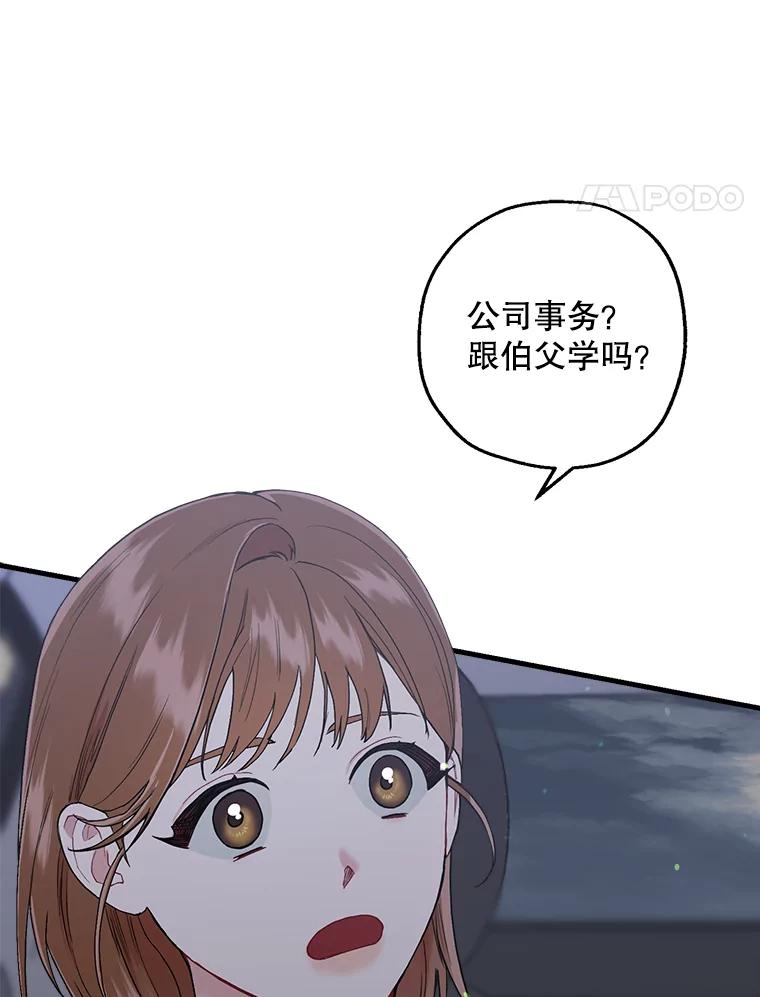 《第二个丈夫》36.送世娜回家 第96页