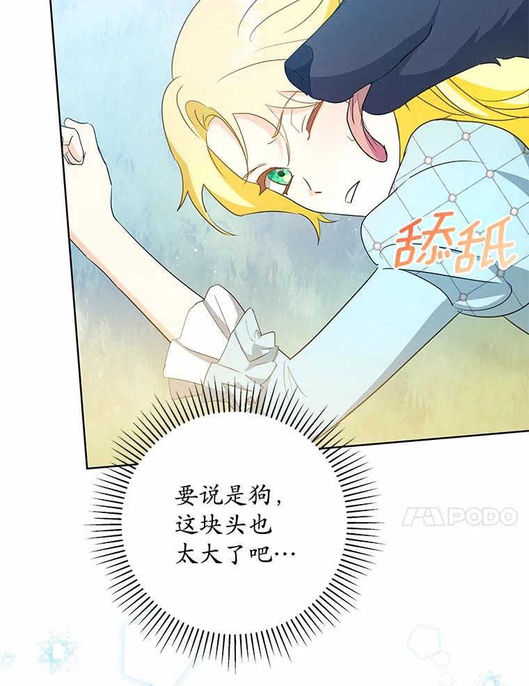 《我从没抛弃过陛下》3.穿越后初遇 第48页