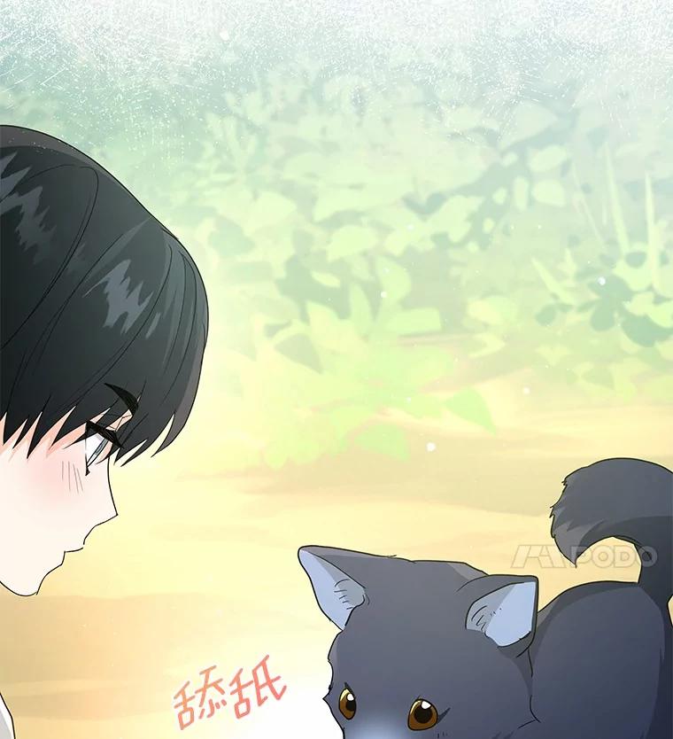 《我从没抛弃过陛下》3.穿越后初遇 第62页