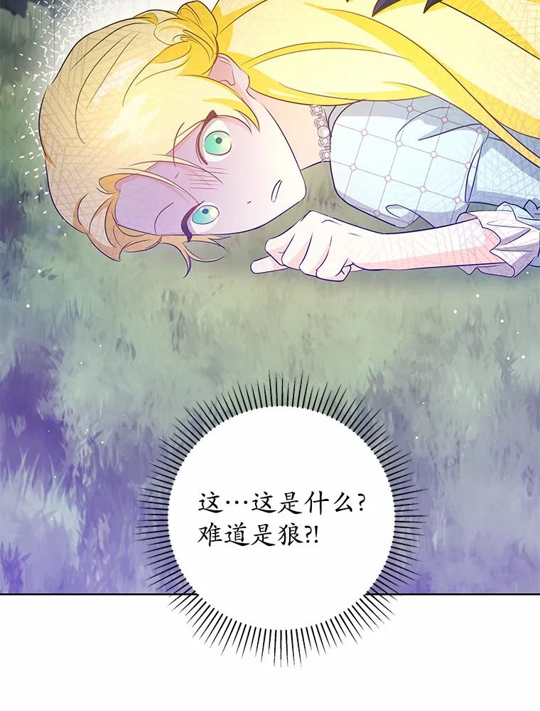 《我从没抛弃过陛下》3.穿越后初遇 第40页