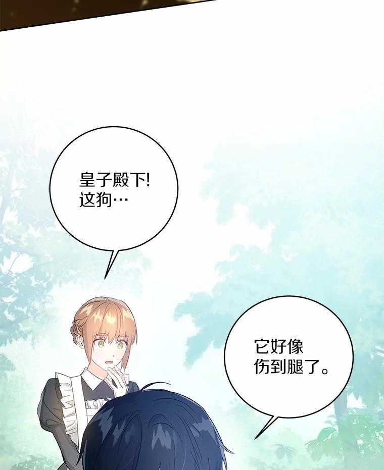 《我从没抛弃过陛下》3.穿越后初遇 第58页