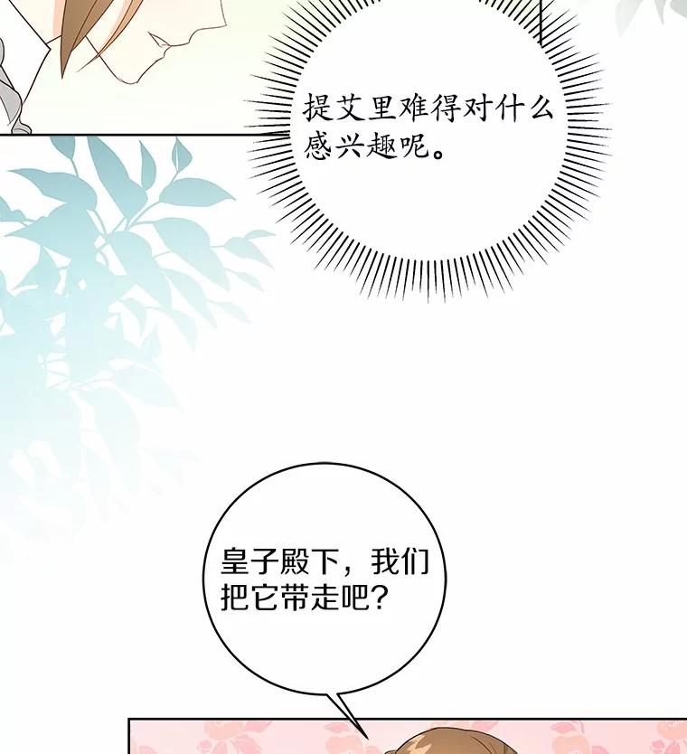 《我从没抛弃过陛下》3.穿越后初遇 第64页