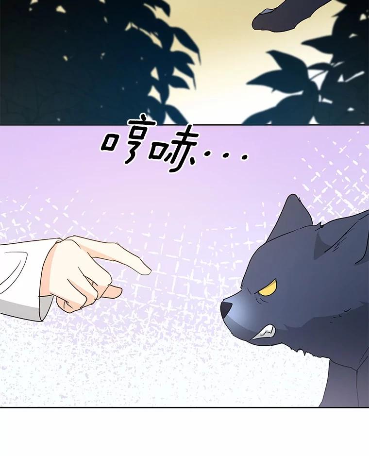 《我从没抛弃过陛下》3.穿越后初遇 第60页