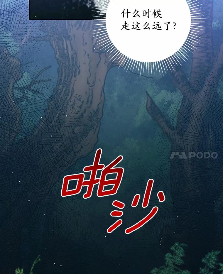 《我从没抛弃过陛下》3.穿越后初遇 第28页