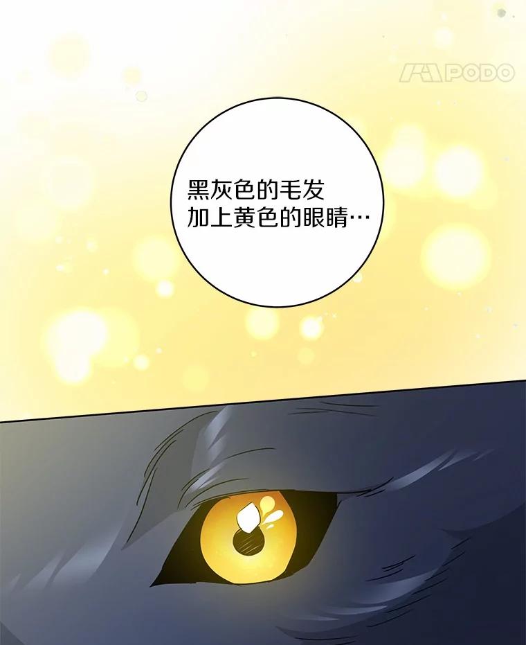 《我从没抛弃过陛下》3.穿越后初遇 第52页