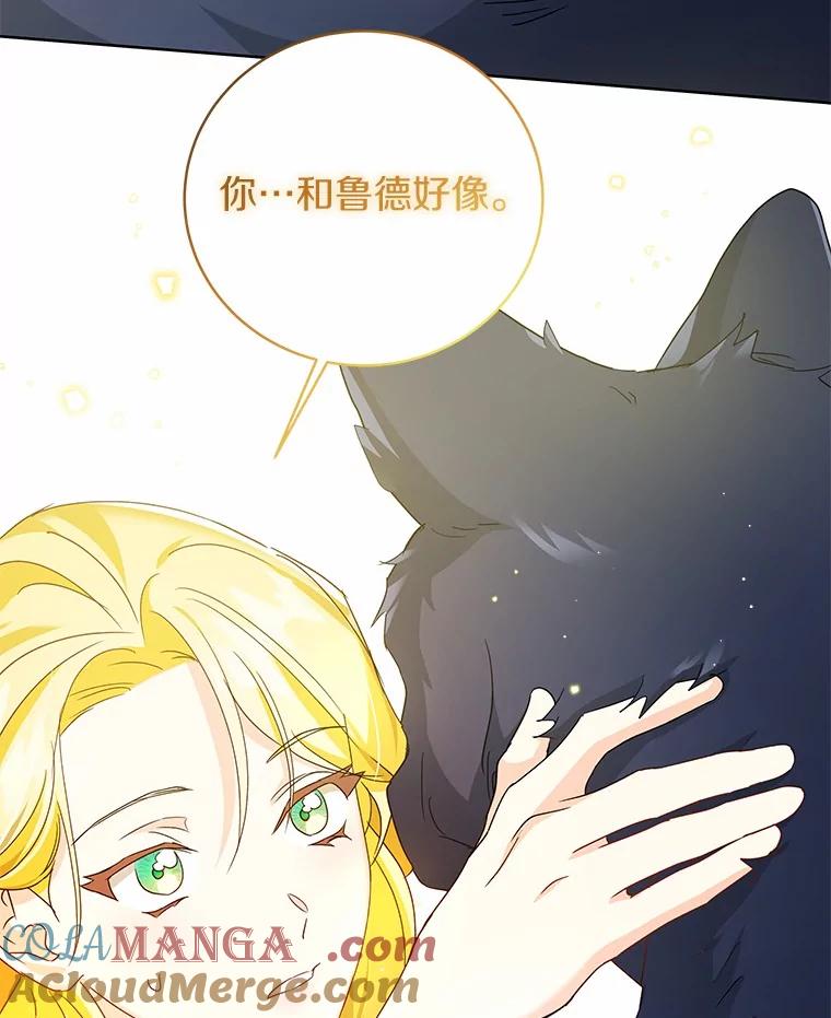 《我从没抛弃过陛下》3.穿越后初遇 第53页