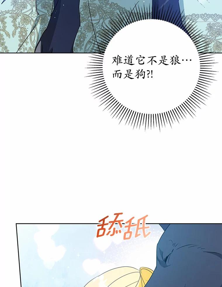 《我从没抛弃过陛下》3.穿越后初遇 第47页