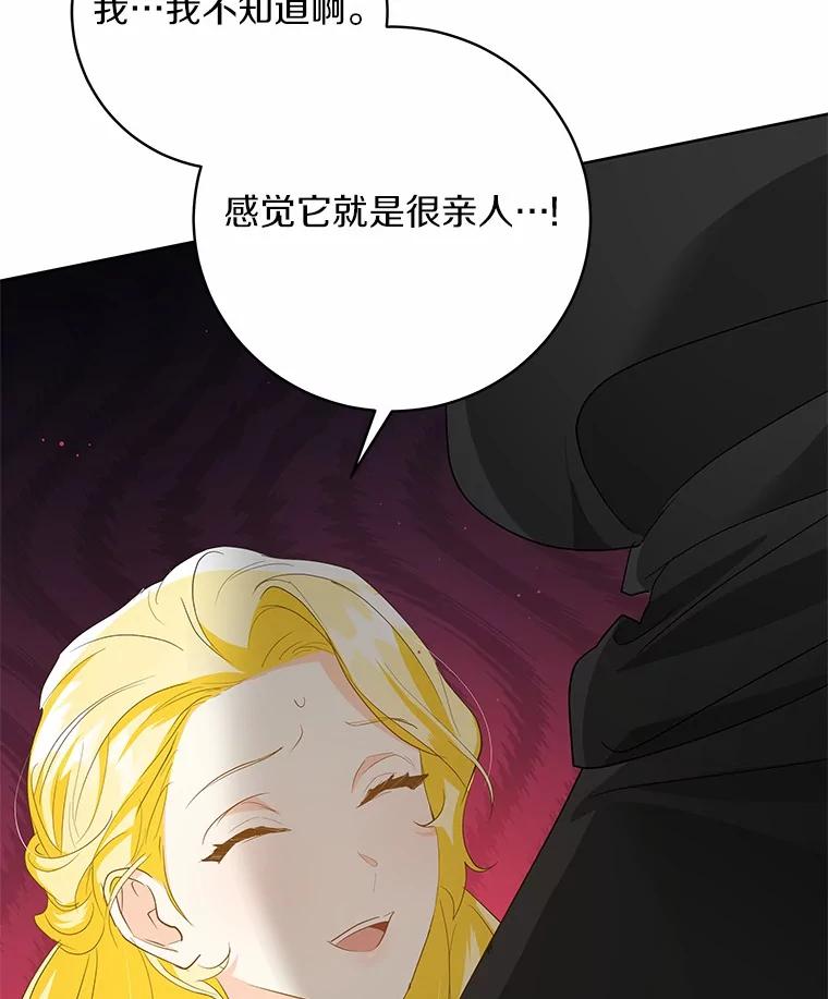 《我从没抛弃过陛下》4.烧毁整座城 第43页