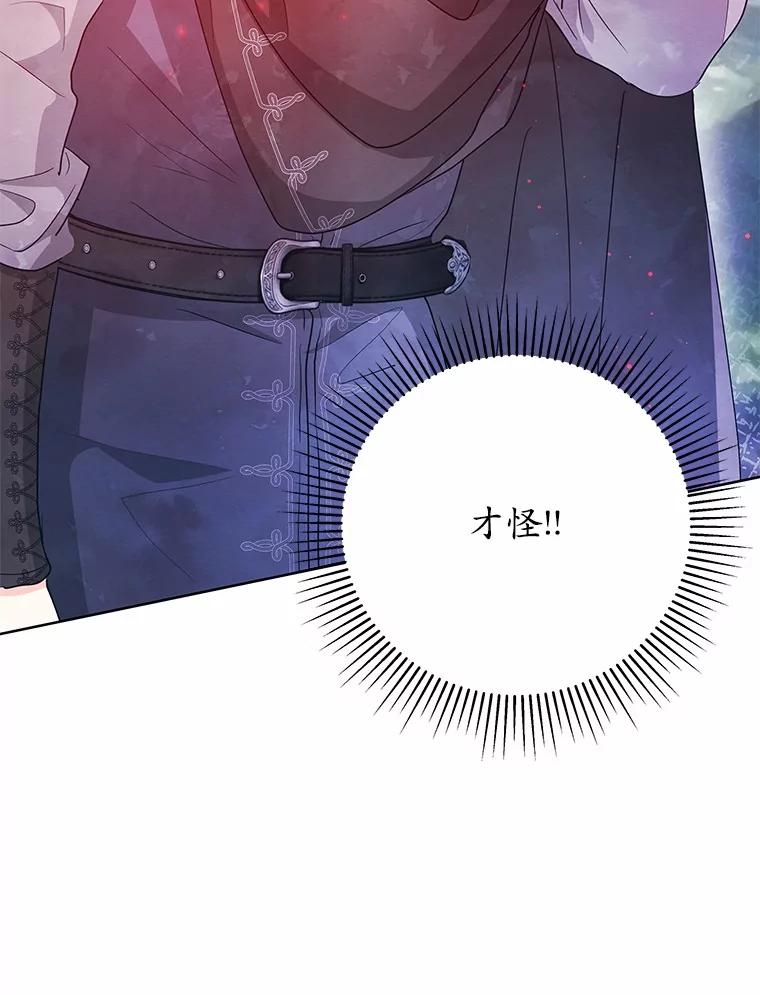 《我从没抛弃过陛下》4.烧毁整座城 第59页