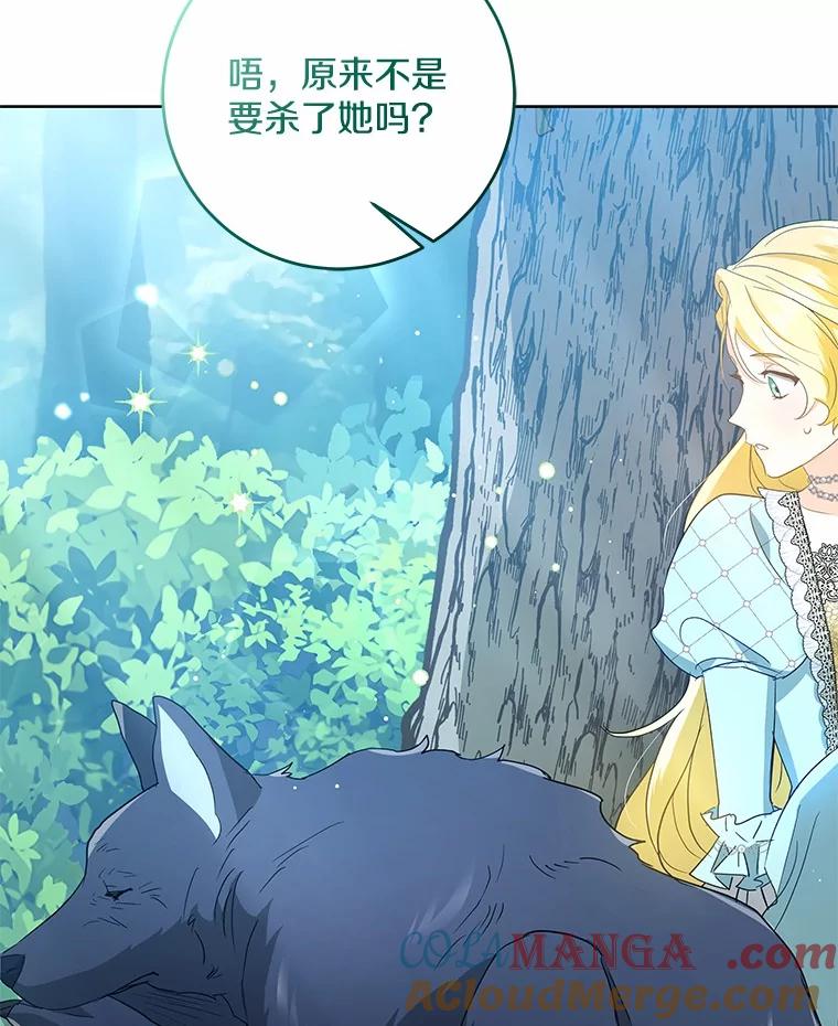 《我从没抛弃过陛下》4.烧毁整座城 第17页