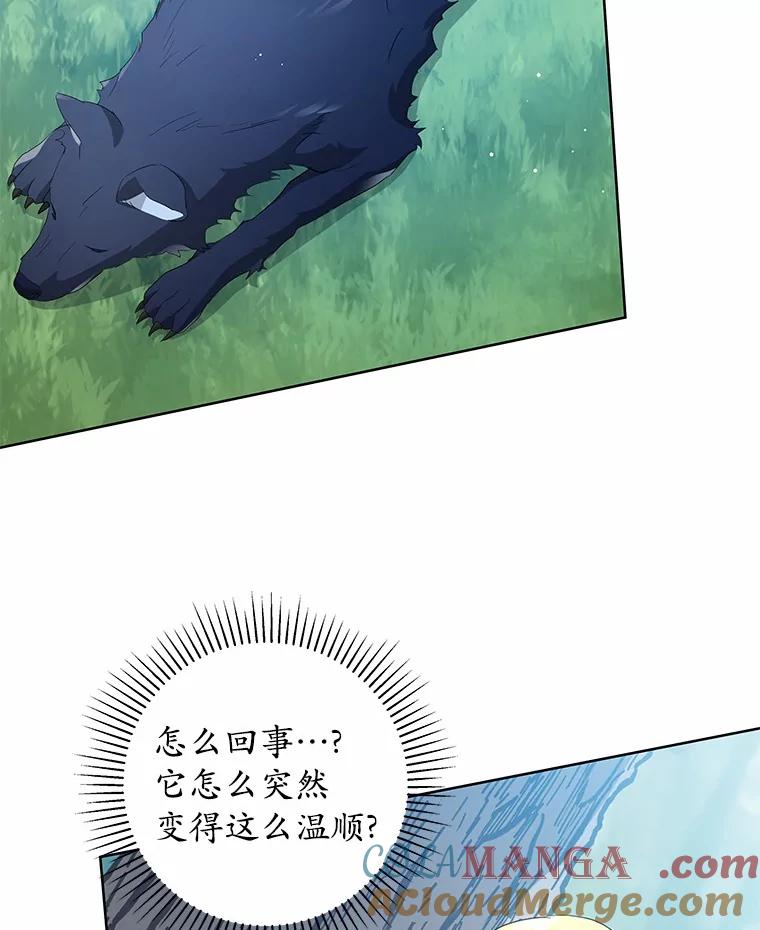 《我从没抛弃过陛下》4.烧毁整座城 第13页