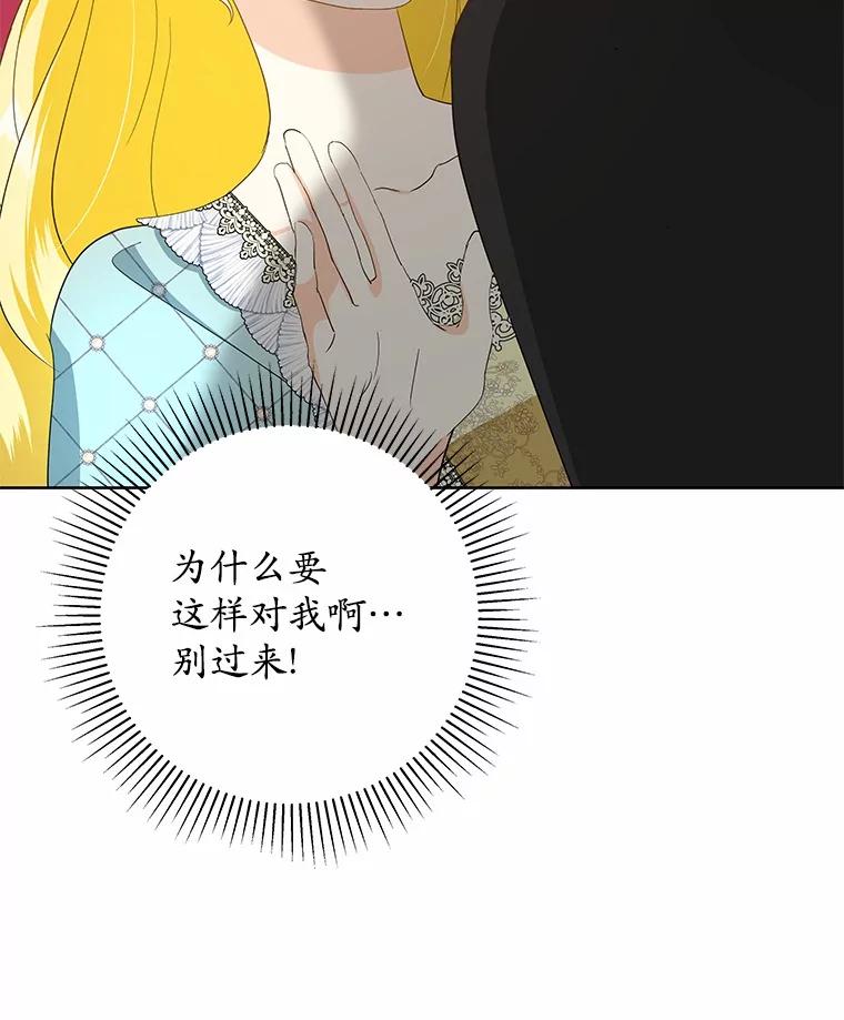 《我从没抛弃过陛下》4.烧毁整座城 第44页