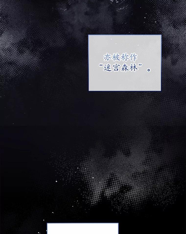 《我从没抛弃过陛下》7.谣言 第62页