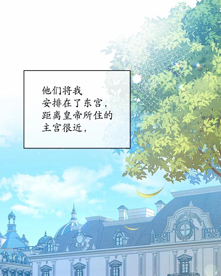 《我从没抛弃过陛下》7.谣言 第6页