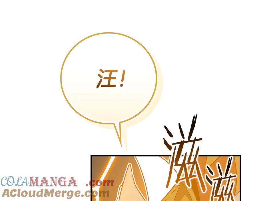 《全民神战：只有我能看到隐藏信息》第98话 新篇章 沙漠之旅开启 第213页