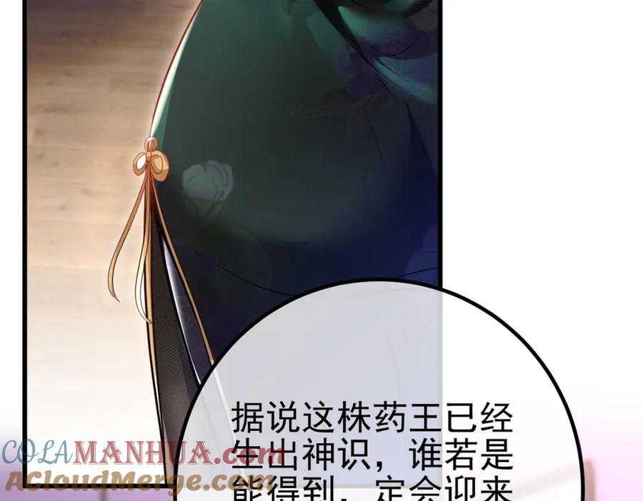《我的白富美老婆》37 神秘老人 第137页