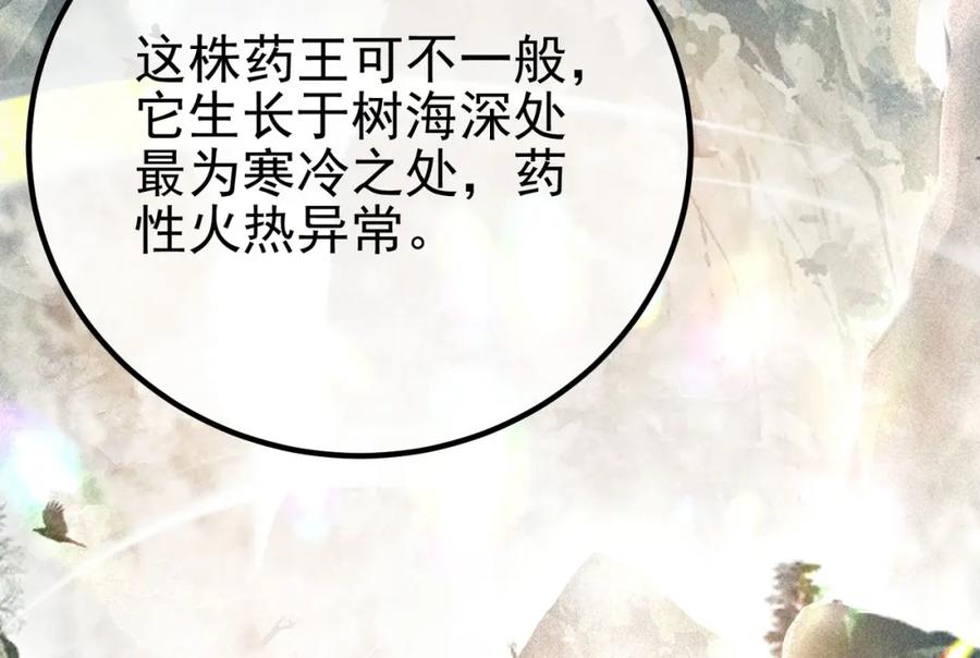 《我的白富美老婆》37 神秘老人 第119页