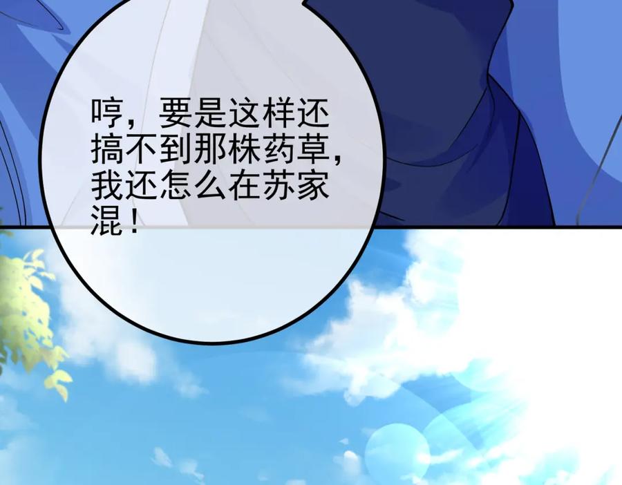 《我的白富美老婆》42 药王争夺战（上）—金牌烤鹅 第114页