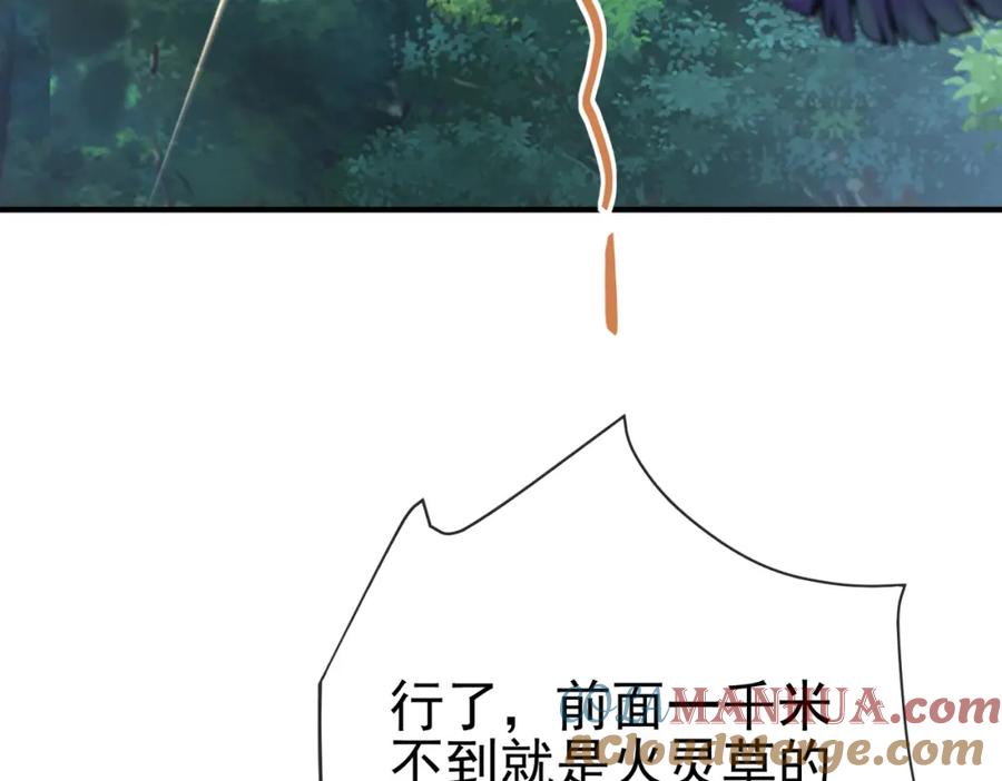 《我的白富美老婆》43 药王争夺战（中）—迷雾森林 第113页