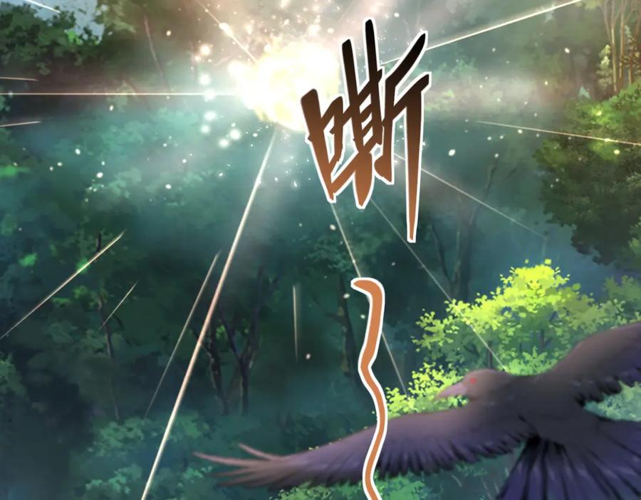 《我的白富美老婆》43 药王争夺战（中）—迷雾森林 第112页