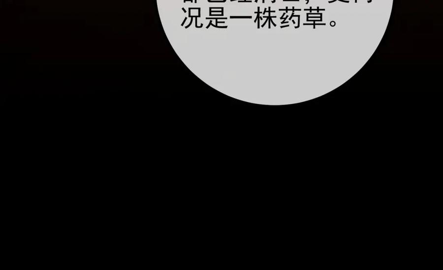 《我的白富美老婆》45 药王争夺战（下）—你不满意？ 第62页