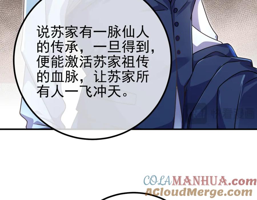 《我的白富美老婆》47 苏家的秘密 第45页