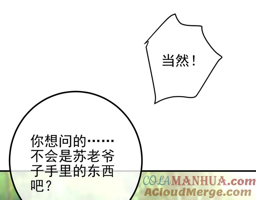 《我的白富美老婆》47 苏家的秘密 第29页