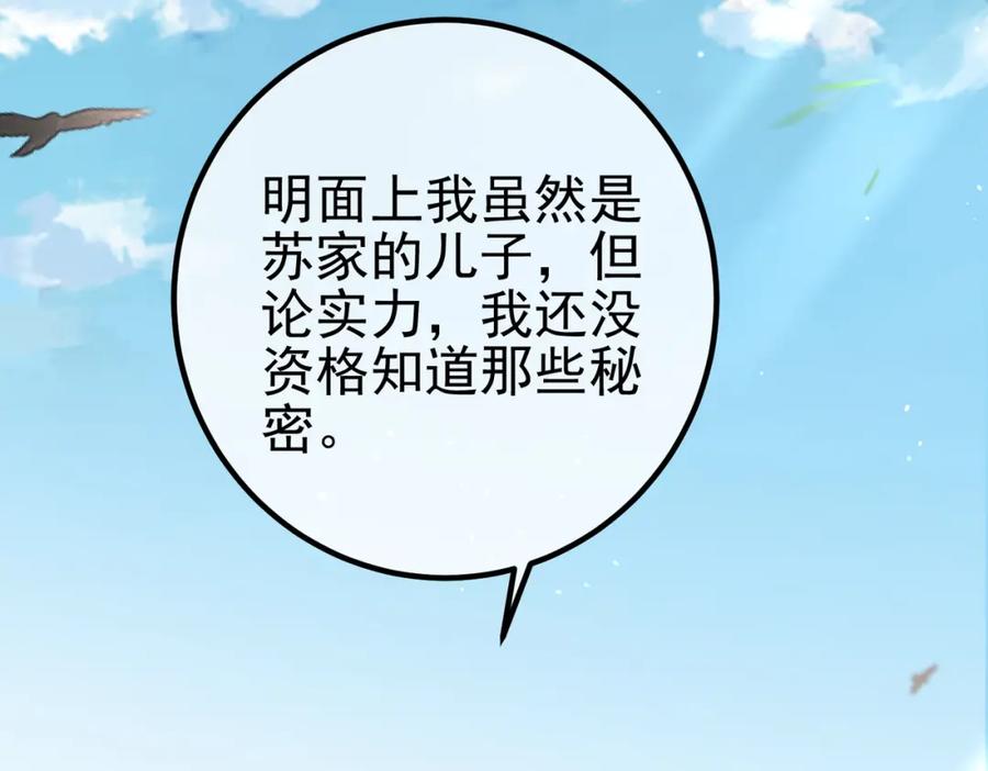 《我的白富美老婆》47 苏家的秘密 第35页