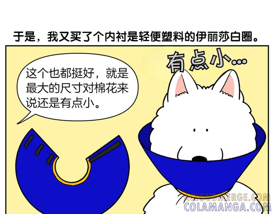 《我的狗子叫棉花》第44话 治疗眼病(3) 第34页