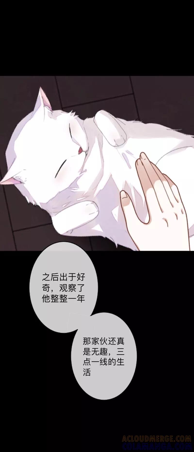 《换皮》第10话 倒可惜了这好皮囊 第15页