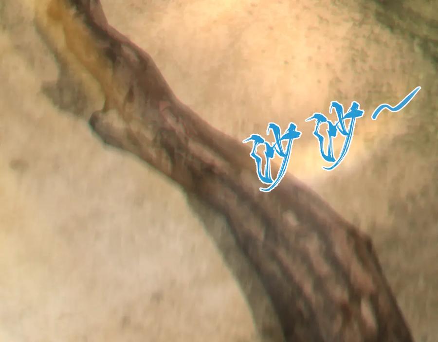 《我的仇敌成了我的道侣》第1话 这次是我选的你！ 第7页