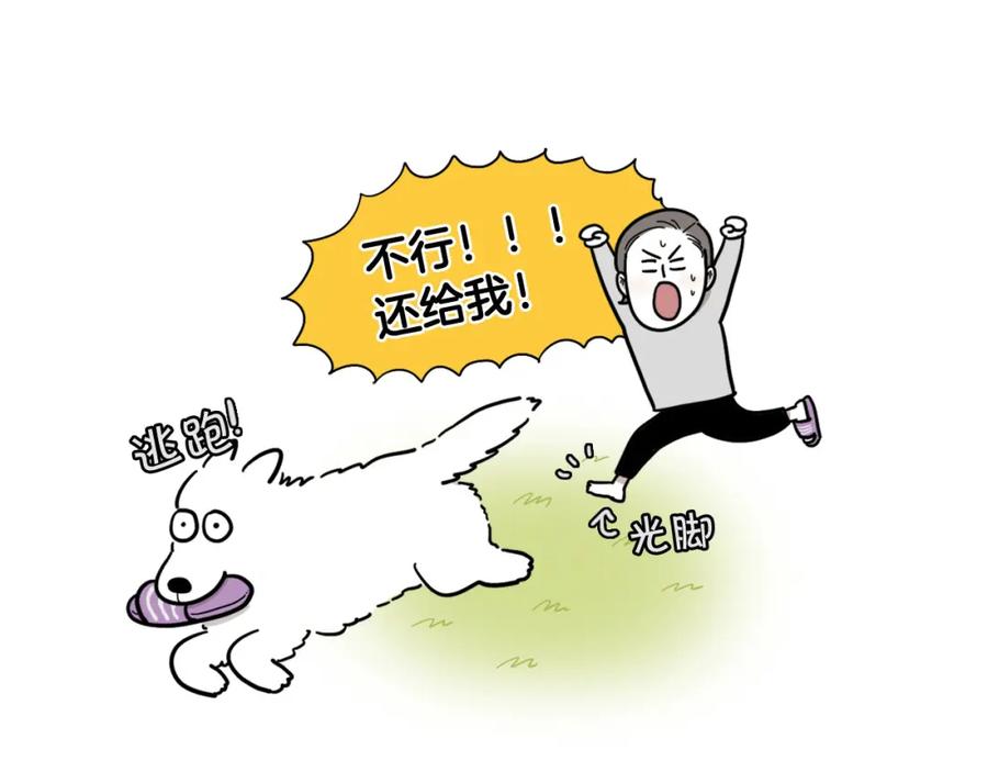 《我的狗子叫棉花》序章 我有一只萨摩耶 第10页