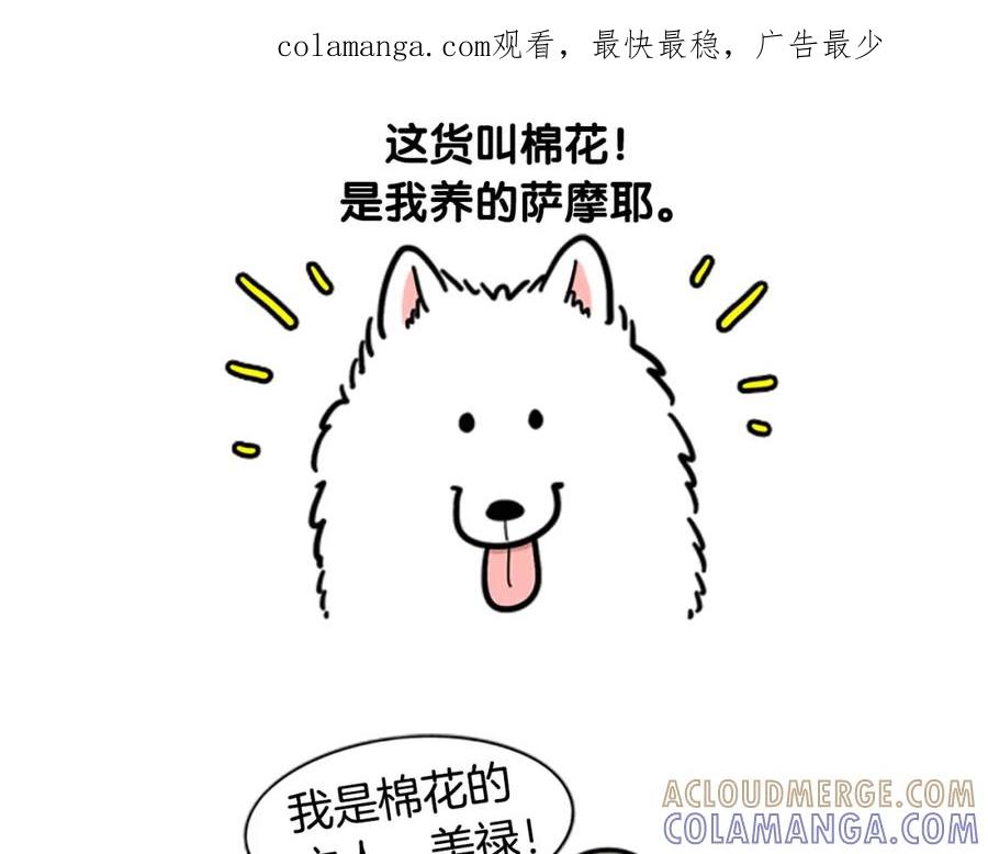 《我的狗子叫棉花》序章 我有一只萨摩耶 第1页