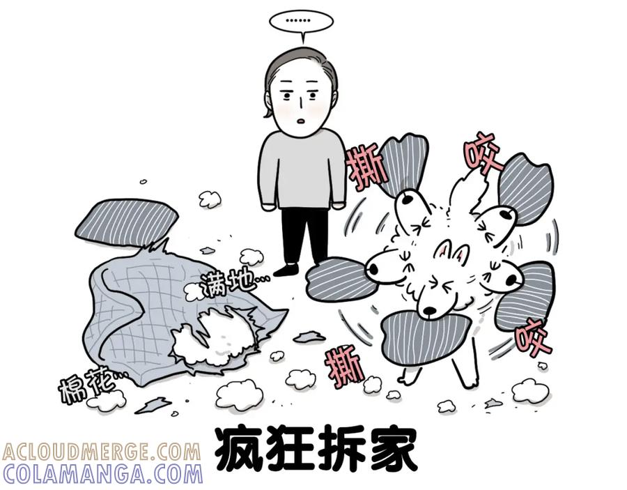 《我的狗子叫棉花》序章 我有一只萨摩耶 第9页