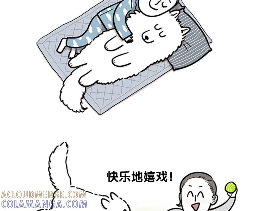 《我的狗子叫棉花》序章 我有一只萨摩耶 第5页