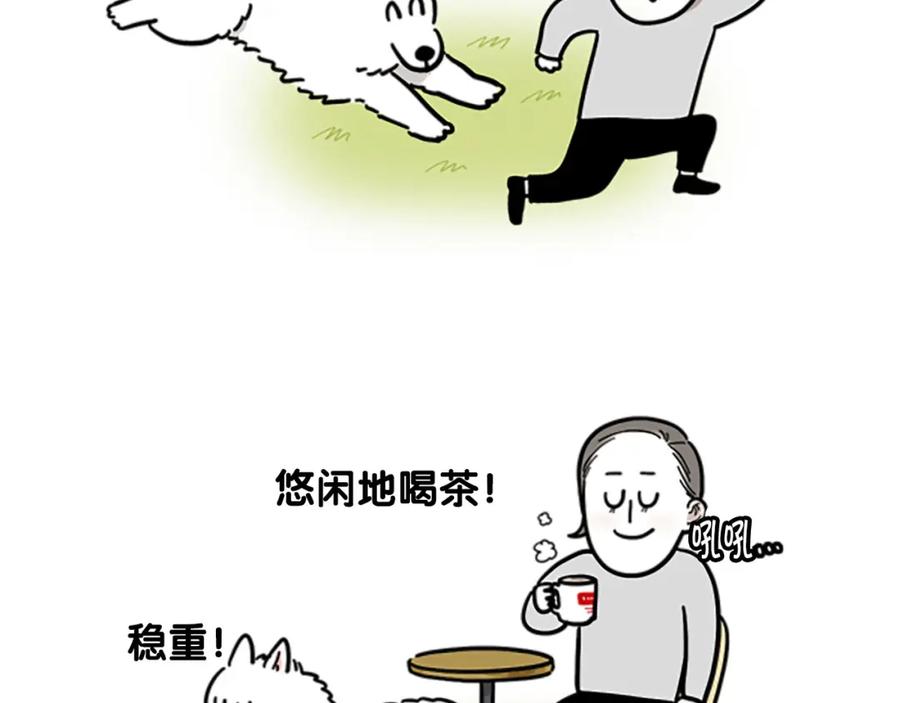 《我的狗子叫棉花》序章 我有一只萨摩耶 第6页