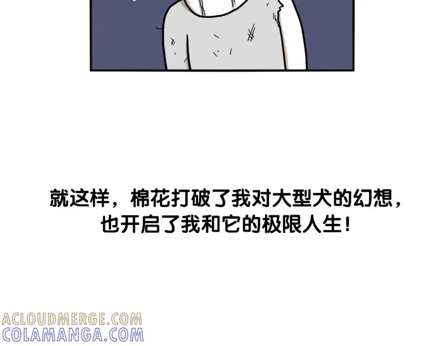 《我的狗子叫棉花》序章 我有一只萨摩耶 第13页