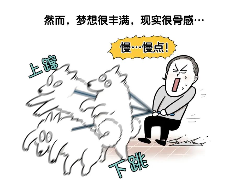 《我的狗子叫棉花》序章 我有一只萨摩耶 第8页