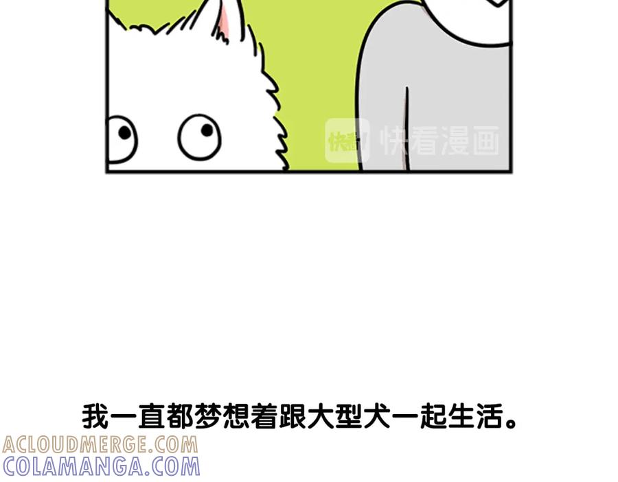 《我的狗子叫棉花》序章 我有一只萨摩耶 第3页