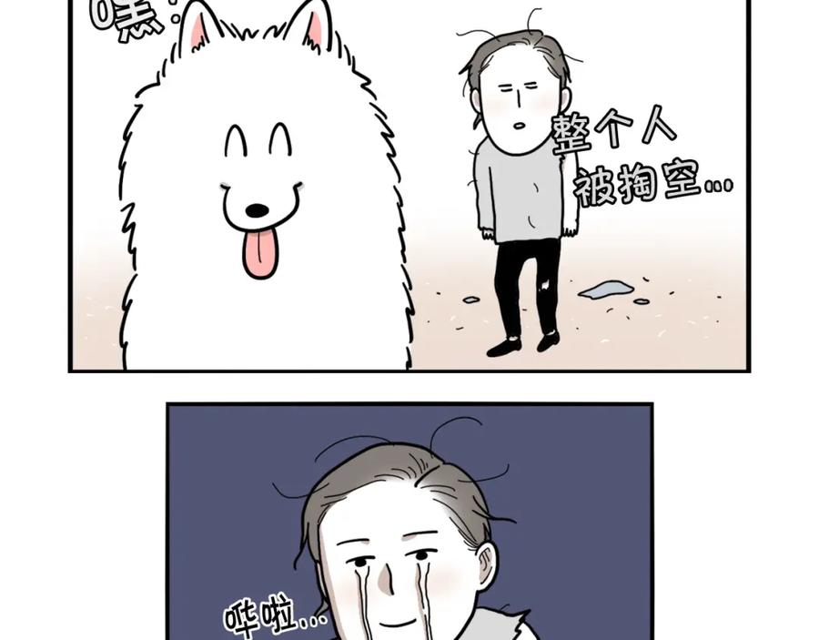 《我的狗子叫棉花》序章 我有一只萨摩耶 第12页