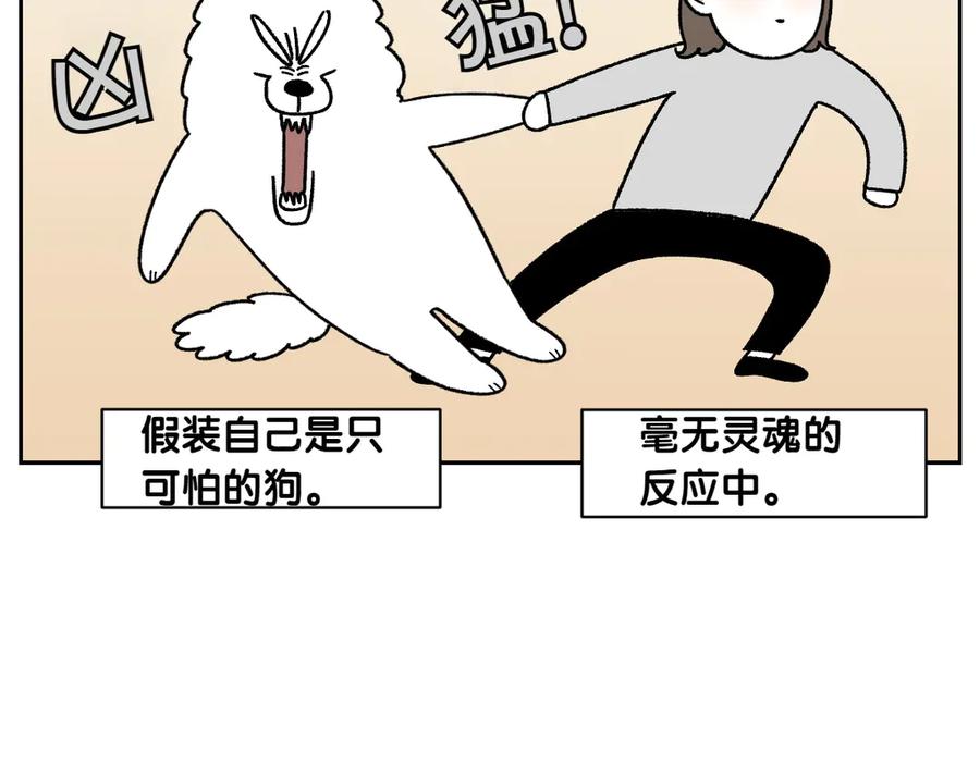 《我的狗子叫棉花》第47话 把狗狗引到浴室 第14页