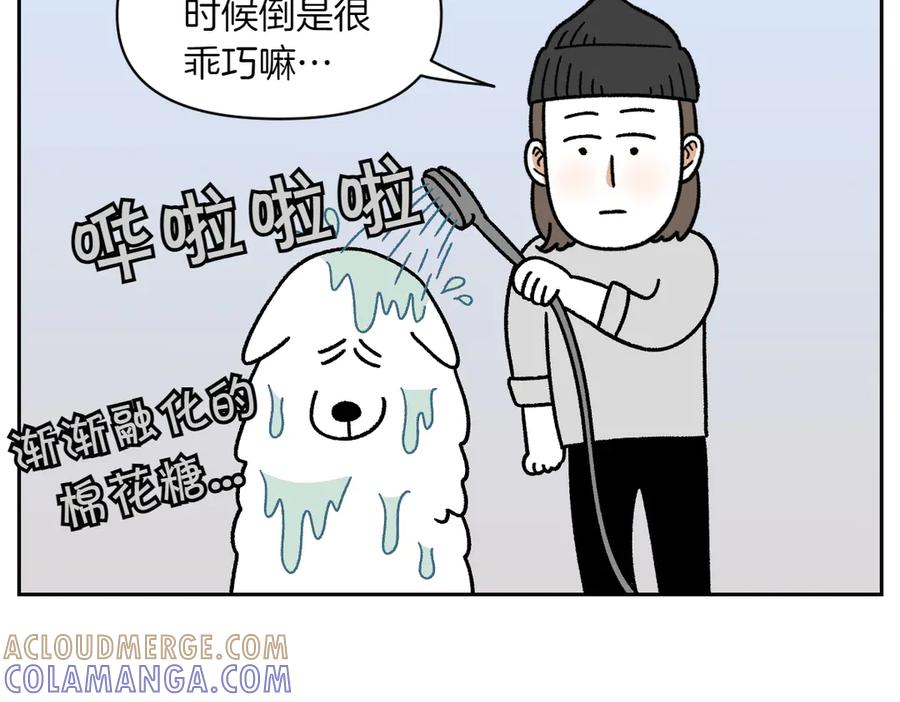 《我的狗子叫棉花》第47话 把狗狗引到浴室 第31页