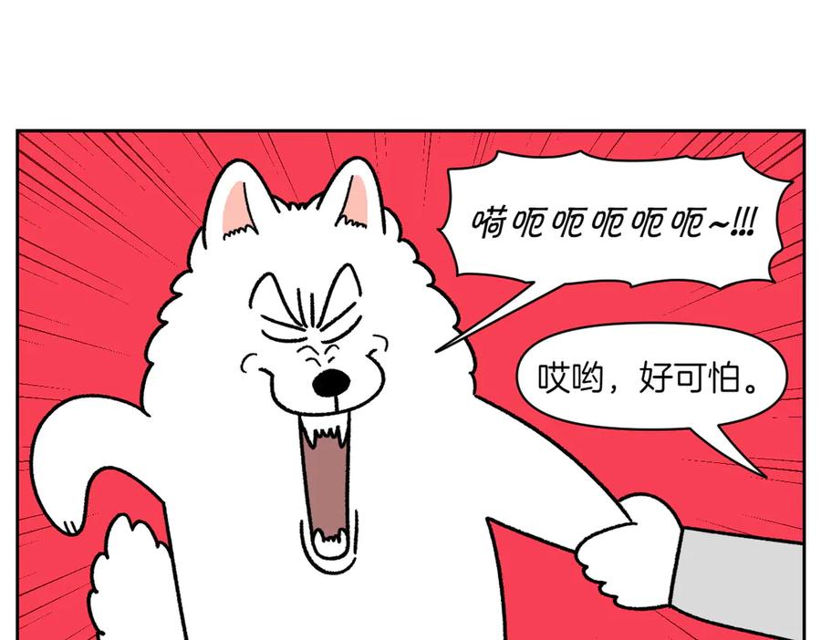 《我的狗子叫棉花》第47话 把狗狗引到浴室 第12页