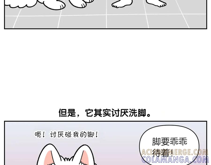 《我的狗子叫棉花》第47话 把狗狗引到浴室 第37页