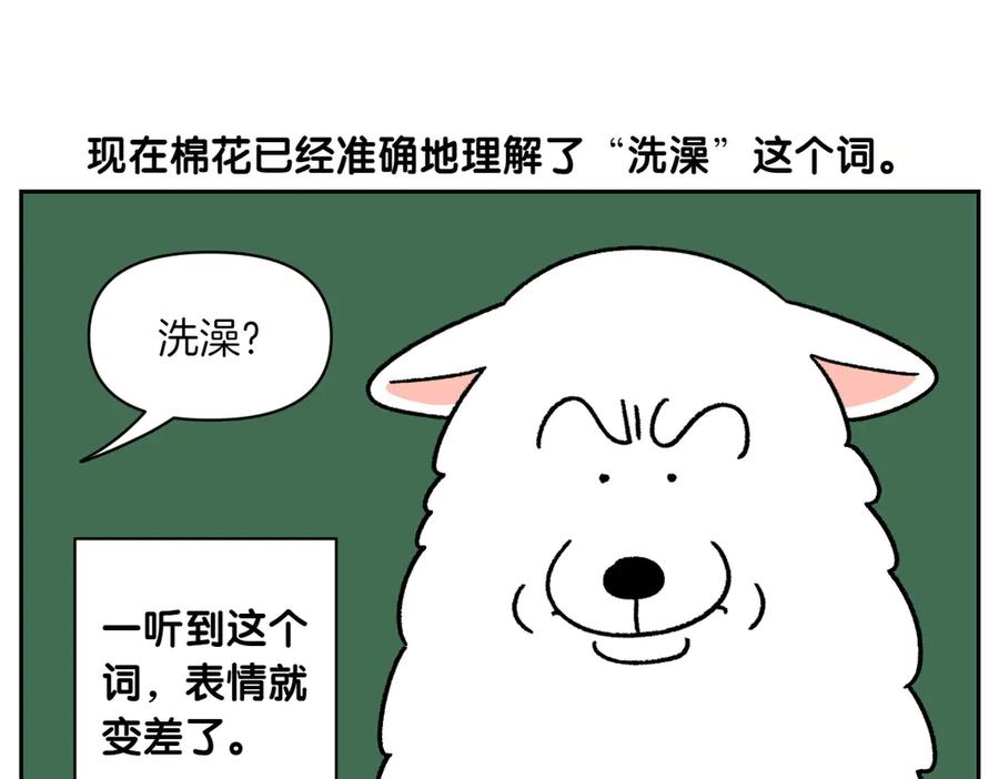 《我的狗子叫棉花》第47话 把狗狗引到浴室 第15页