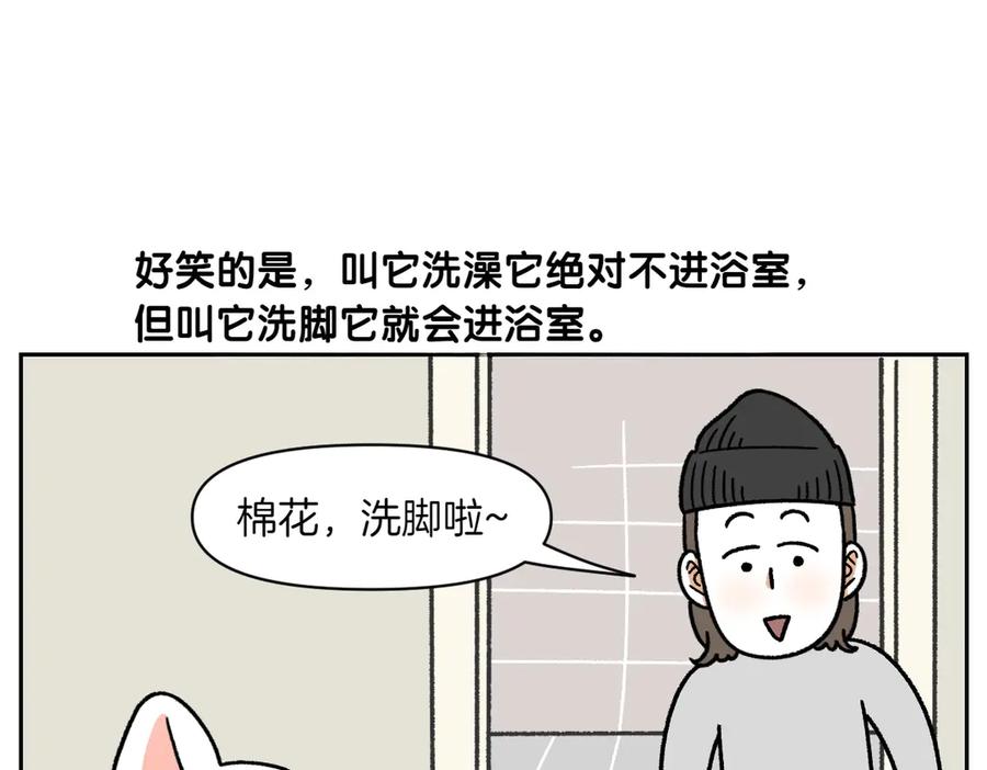 《我的狗子叫棉花》第47话 把狗狗引到浴室 第32页